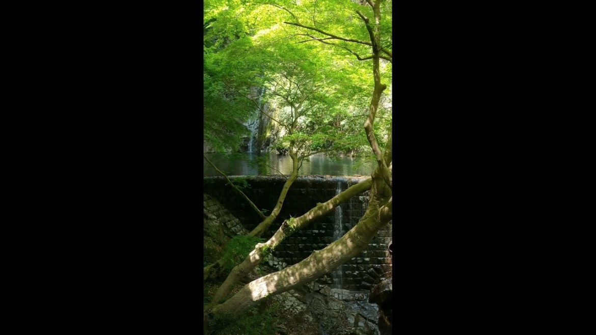 Beautiful Waterfall and view of Kobe in Japan short hike to the Nunobiki falls #shorts