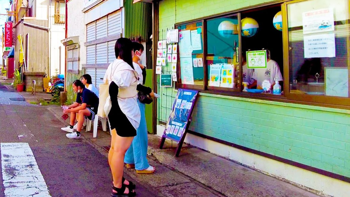 Chiba Walk. Enjoy the coastal town ♪💖🐶4K ASMR non-stop 1 hour 12 minutes