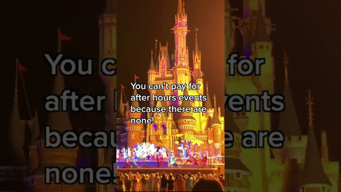 MORE Things CAN'T Do at Tokyo Disneyland