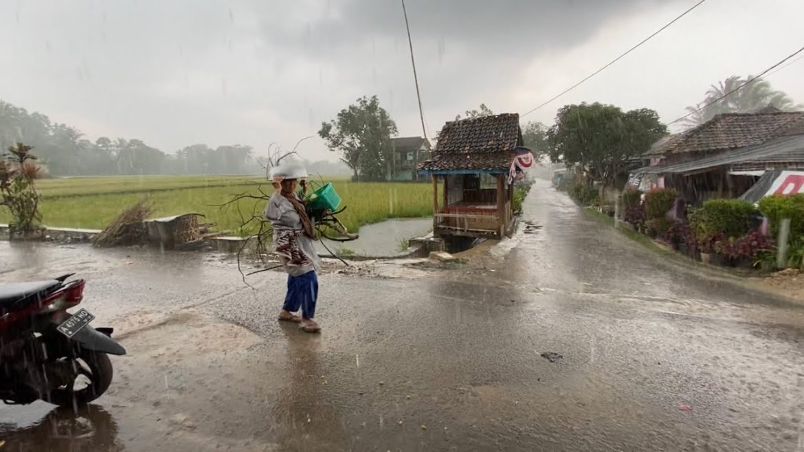 Suasana Hujan di Pedesaan !! Semakin sejuk & Damai, Dihiasi aktivitas Warga saat hujan Suasana Hujan di Pedesaan !! Semakin sejuk & Damai, Dihiasi aktivitas Warga saat hujan