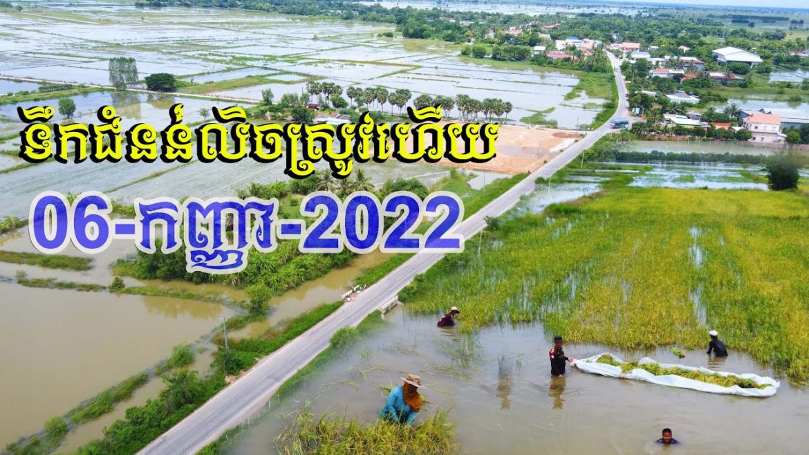 0021-​Floods in Cambodia, Banteay Meanchey Province / ទឹកលិចវាលស្រែវាលស្រូវអស់ហើយ អាណិតអ្នកស្រែណាស់