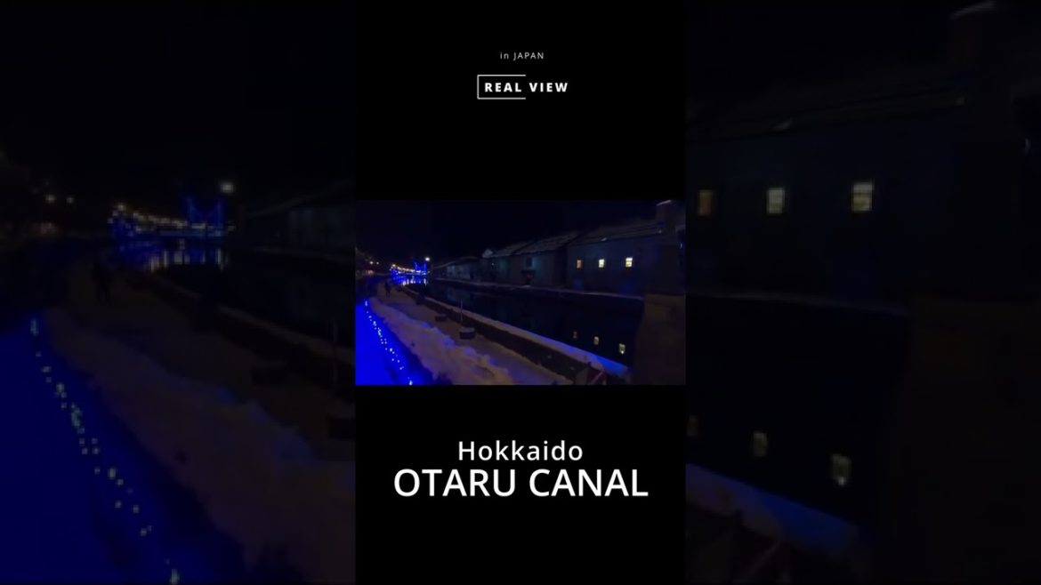 【REAL VIEW】北海道 小樽運河_Hokkaido Otaru Canal #hokkaido #shorts