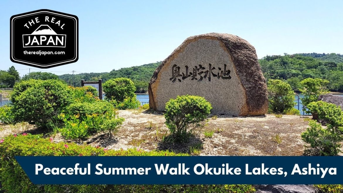 Peaceful Summer Walk Around Okuike Lake, Ashiya (ASMR) | The Real Japan | HD