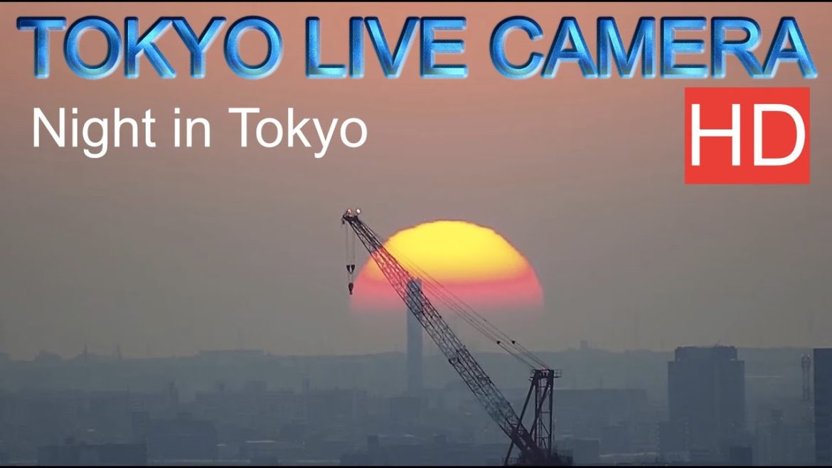 TOKYO LIVE CAMERA, night view. The world's No. 1 city to live in.,東京ライブカメラ、