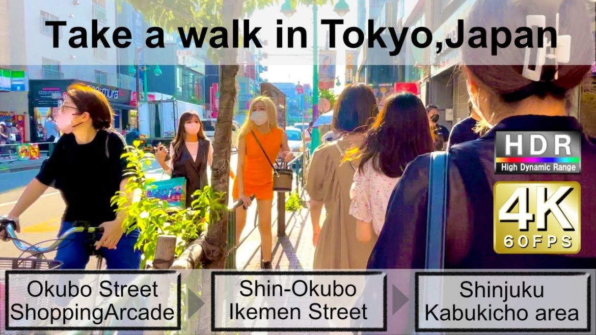 4K 60fps HDR// Take a walk in Tokyo, Japan, Okubo Shopping Street→Ikemen Street→Shinjuku  Kabukicho