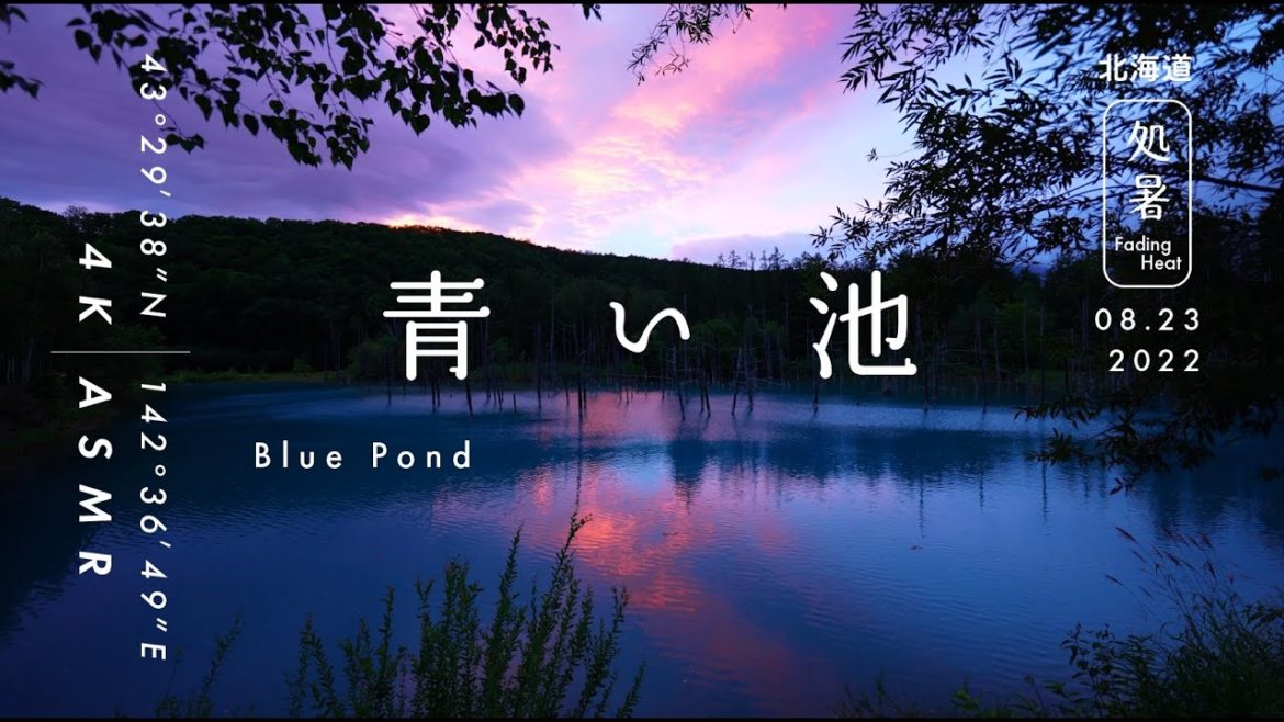 [Nature Sound & 4K Video] Blue pond in Japan / Relaxing Nature Video, ASMR / Fading Heat