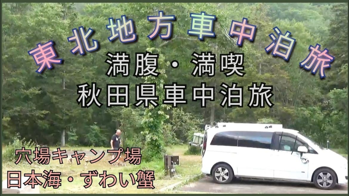 【⑪東北地方一周車中泊旅】秋田日本海ゴジラ岩┃穴場キャンプ場貸し切りカーキャンピング