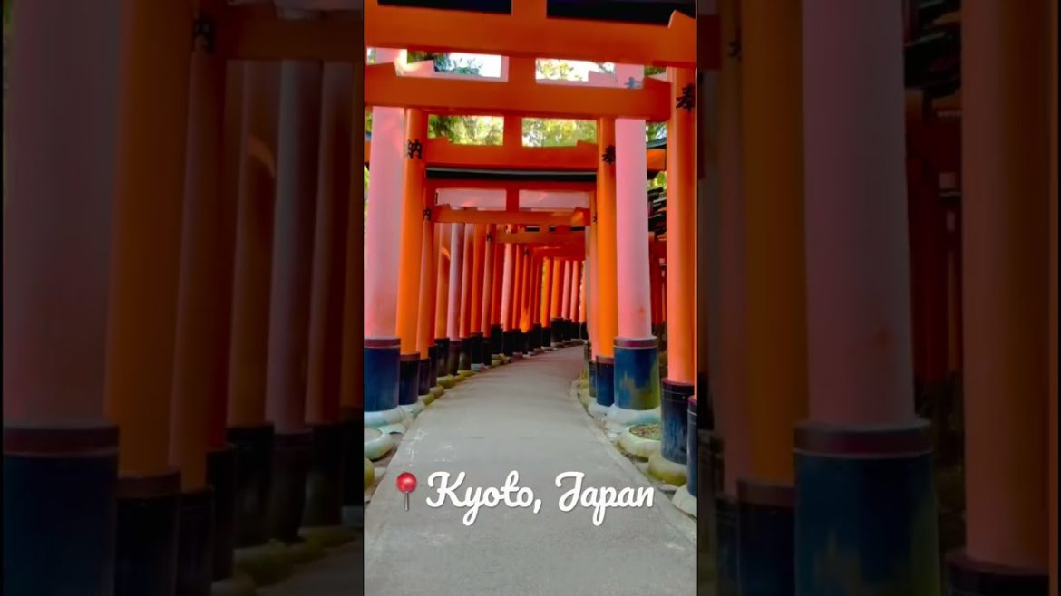 Kyoto, Japan #ytshorts #shorts #travelshorts