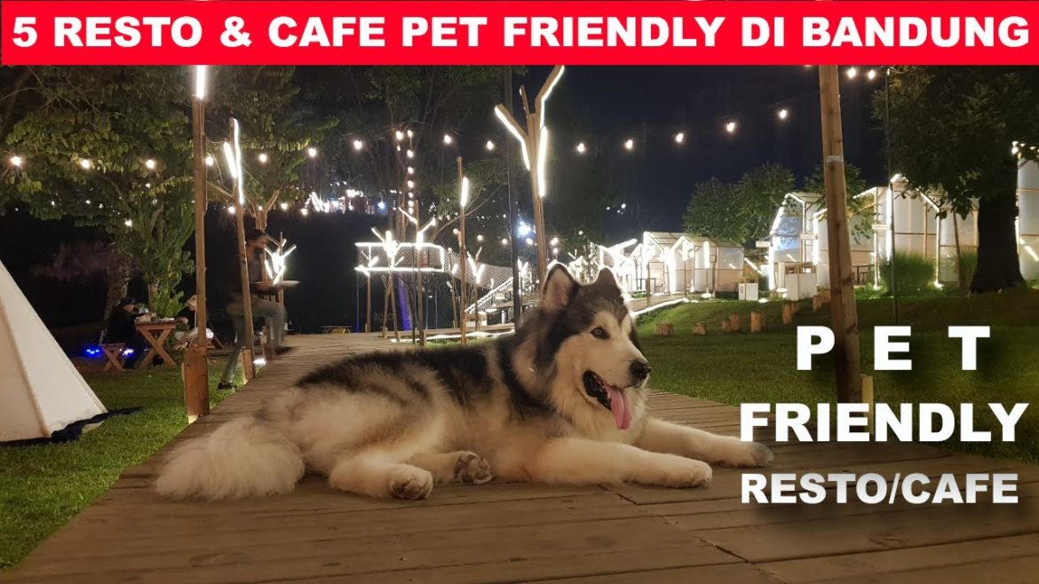 5 Restoran Dan Kafe Pet Friendly Di Bandung 5 Restoran Dan Kafe Pet Friendly Di Bandung