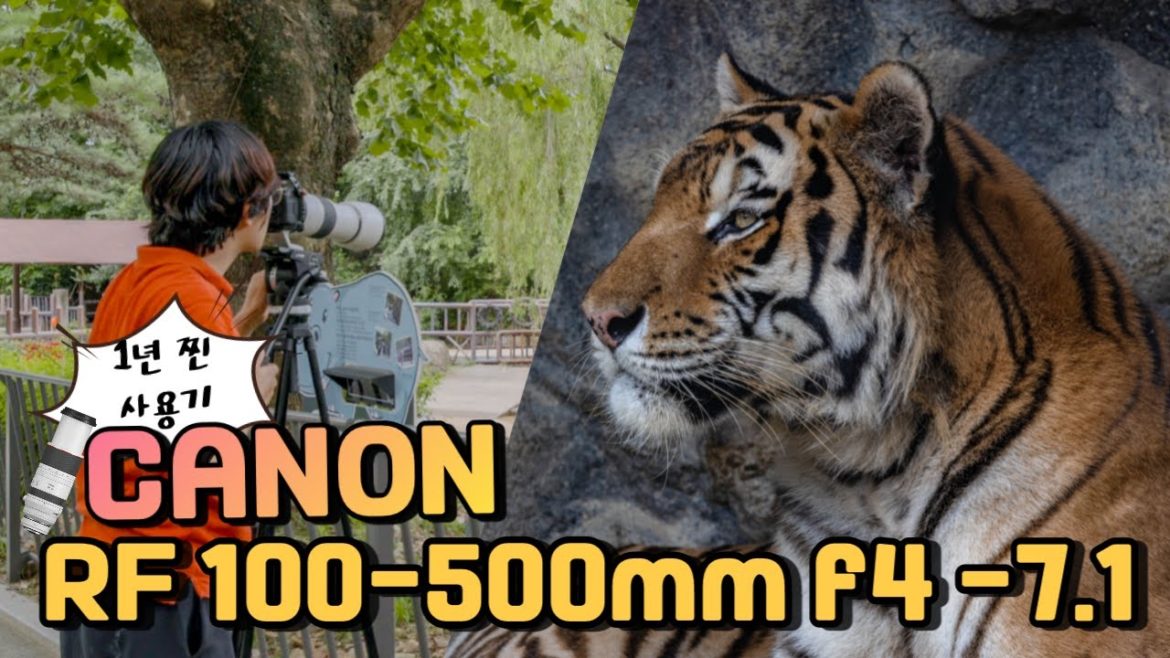 EOS R5 & C70 with RF100-500