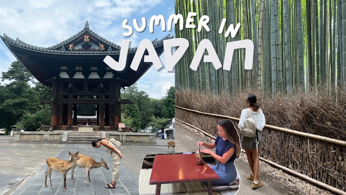 SUMMER IN JAPAN | novelty trains, shrines, and deer in Kyoto!