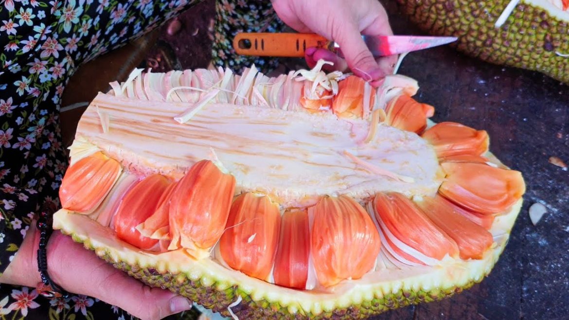 Cutting EXOTIC Jackfruit in Vietnam - Vietnam Street Food