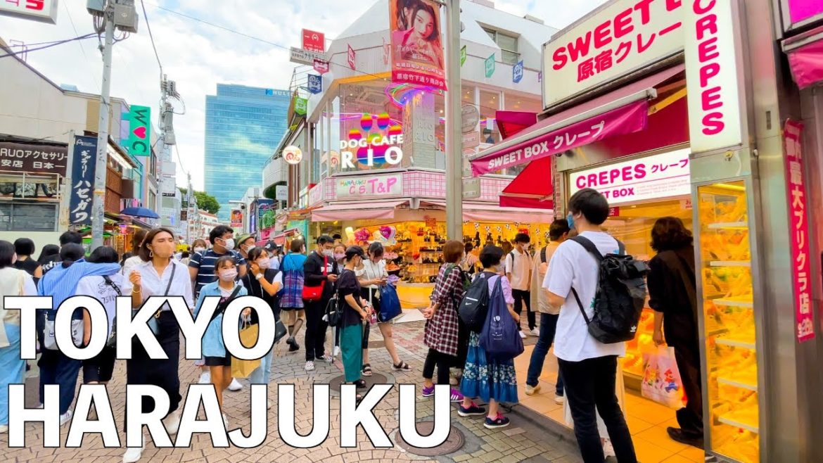 【4K】Harajuku to Shibuya walk tour | Tokyo, Japan 【4K】Harajuku to Shibuya walk tour | Tokyo, Japan