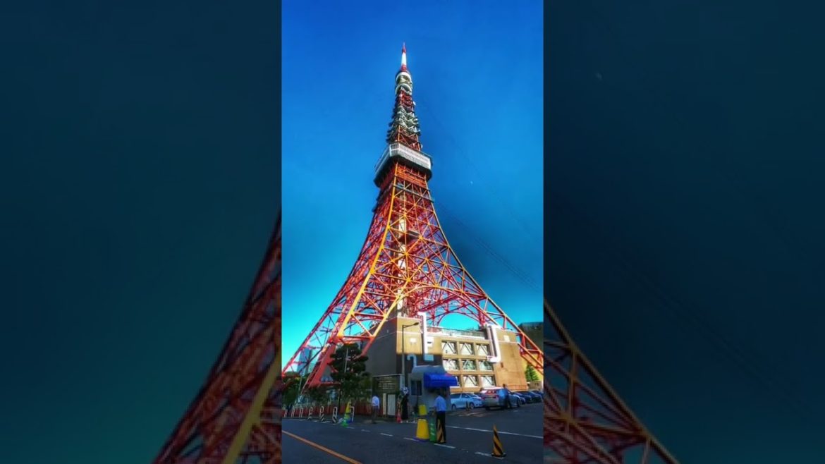 【colors】どの色の写真が好き? #shorts 【colors】どの色の写真が好き? #shorts