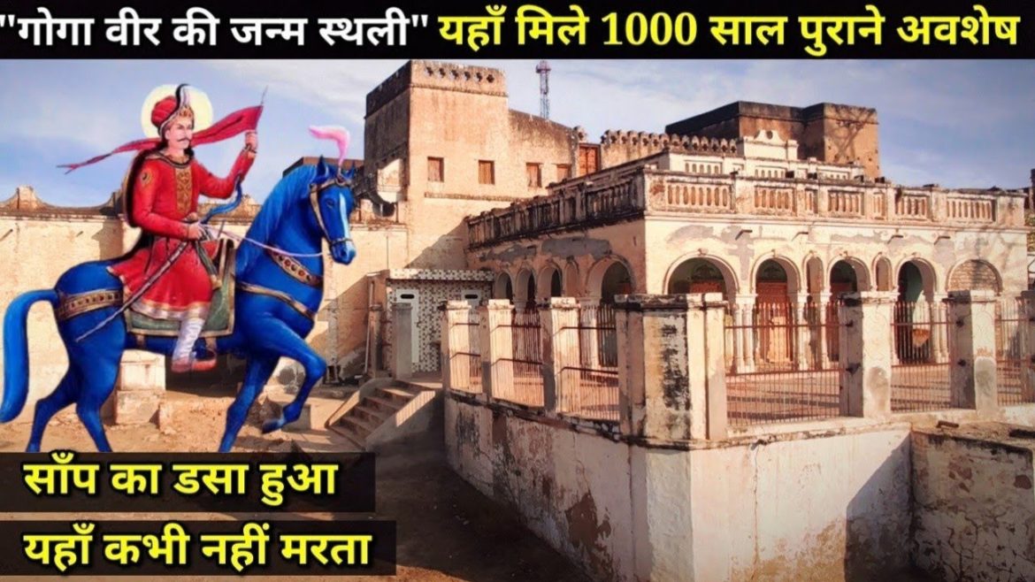 || Goga Ji Janamsathli || Dadrewa Churu Rajasthan सांप के डसे  को भी बचाया जा सकता है यहां पर लाकर!!