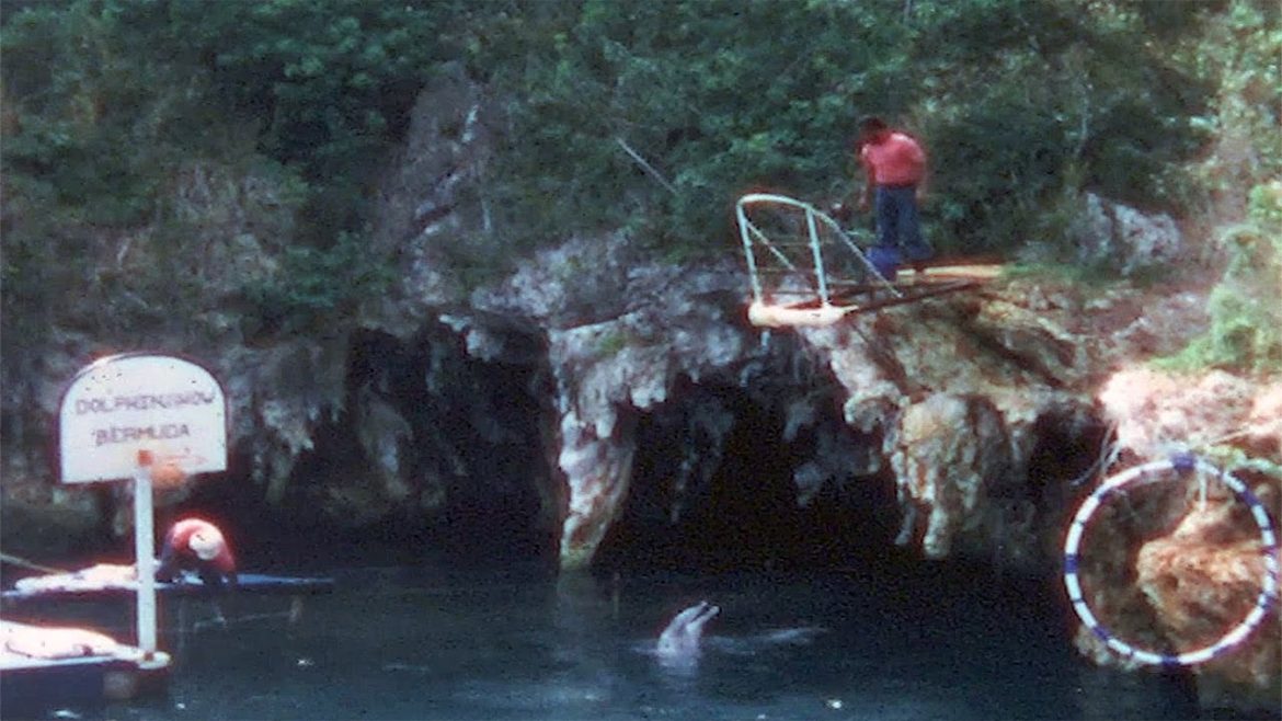 Bermuda Vacation 1973 ~ A Wander in St.Georges & The Dolphin Show Bermuda Vacation 1973 ~ A Wander in St.Georges & The Dolphin Show