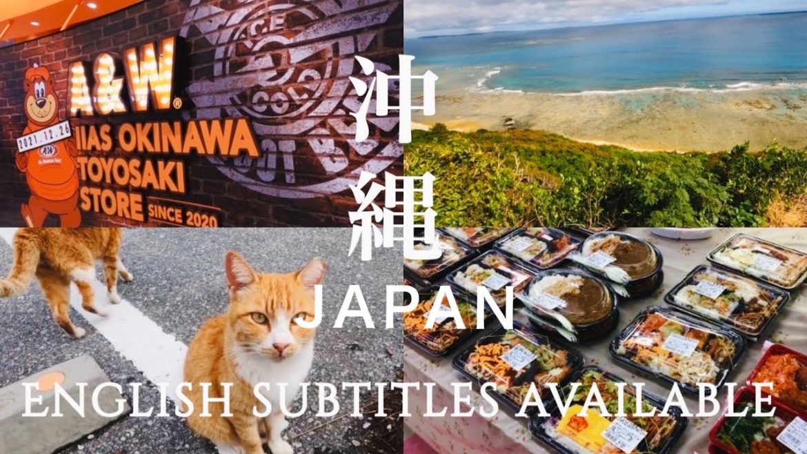 沖縄旅行最終日コースに!猫と天ぷらで有名な島や絶景の海を眺めて最後にショッピングモールでお買い物【奥武島糸満市南城市】vlog