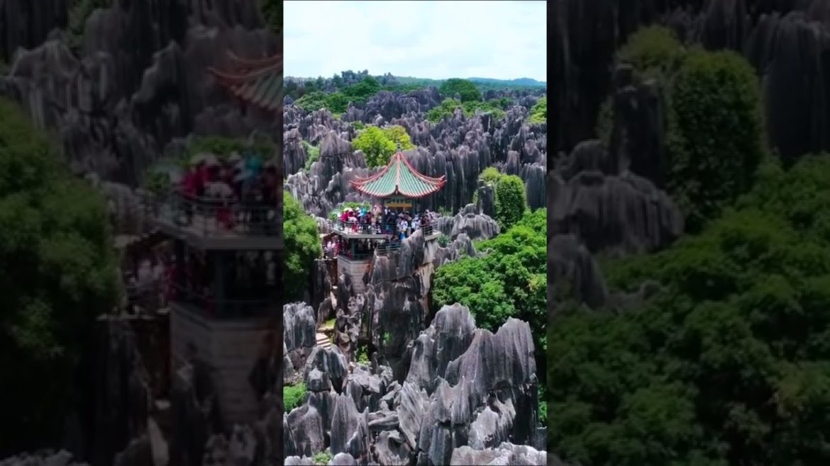 Amazing Beautiful Nature with Relaxing Music | 4K VIDEO HD Amazing Beautiful Nature with Relaxing Music | 4K VIDEO HD