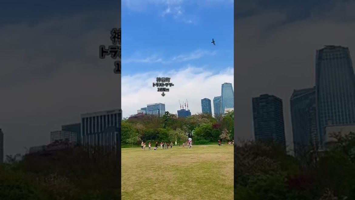 【東京タワー】TOKYO TOWER #shorts