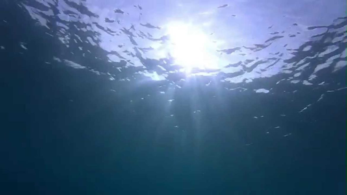 Our life in Ishigaki Island, Okinawa (石垣島)