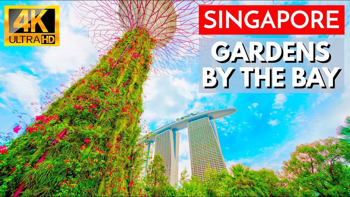 Scenic Tour of Gardens by the Bay Singapore — TripAdvisor 2022 Travellers' Choice Award Winner