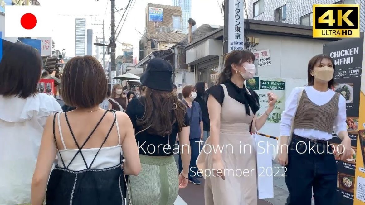 【4k】Korean Town in Shin-Okubo