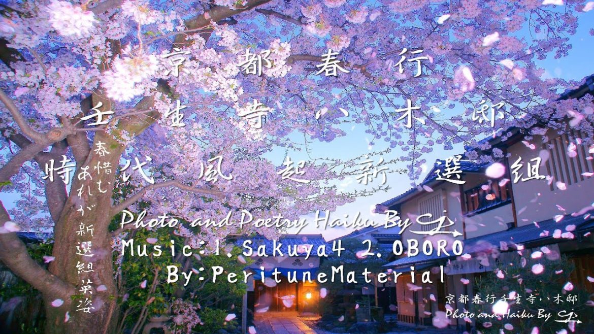 [4K]京都春行 壬生寺の桜と八木邸夜桜吹雪 (時代風起新選組)Spring Travel in Japan with Cherry Blossoms in Mibudera & Yagike