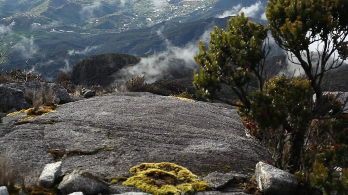 Mt. Kinabalu - Kakakapan id Gayo Ngaran
