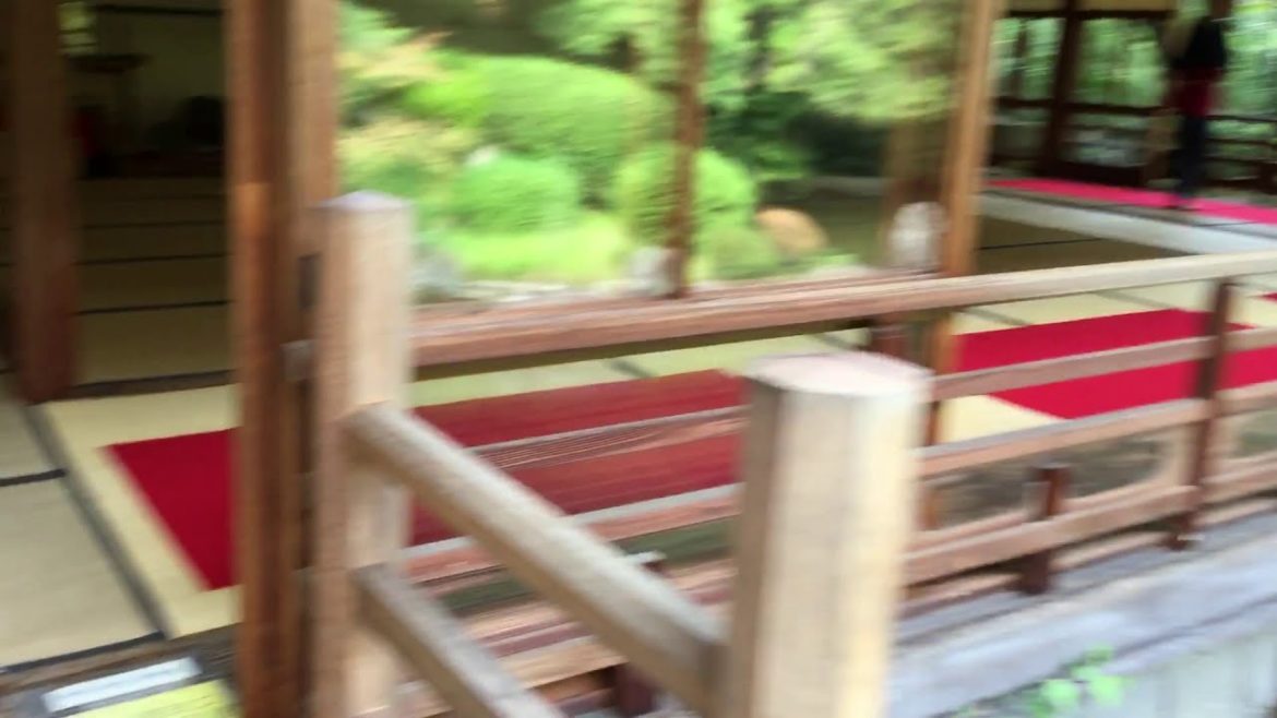 Our Private Fukuoka Tours will always find the best places to satisfy you and your party.