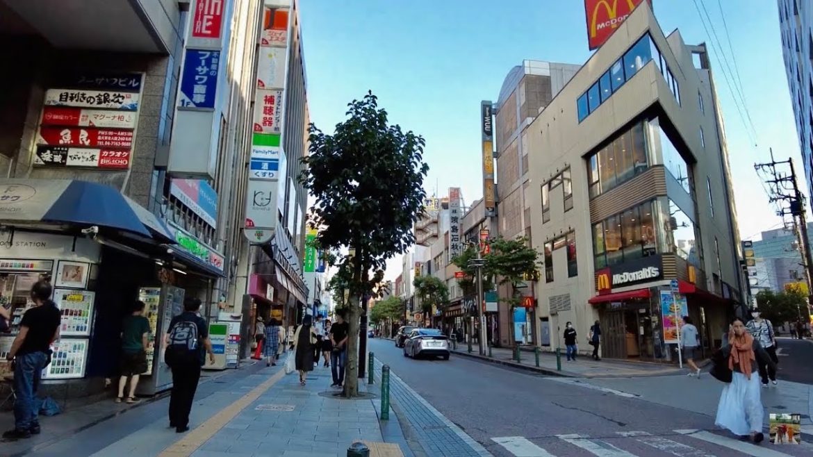 【🇯🇵4K】Walking around Kashiwa station in Chiba ~ 柏駅周辺散歩 ~ Japan travel