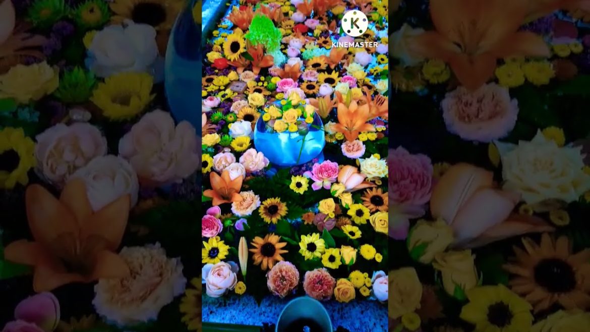 小樽住吉神社で2022年第7回花手水降雨バージョンを見てきた☔ 小樽住吉神社で2022年第7回花手水降雨バージョンを見てきた☔