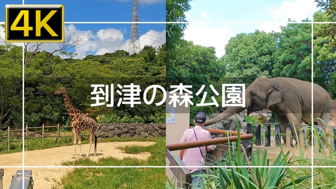 【2022年8月】到津の森公園の動物を見に行ってみた【4K】