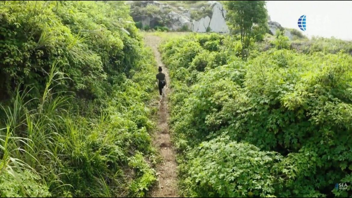 See Indonesia: Discovering Natural Wonders In The Land Of Sunda