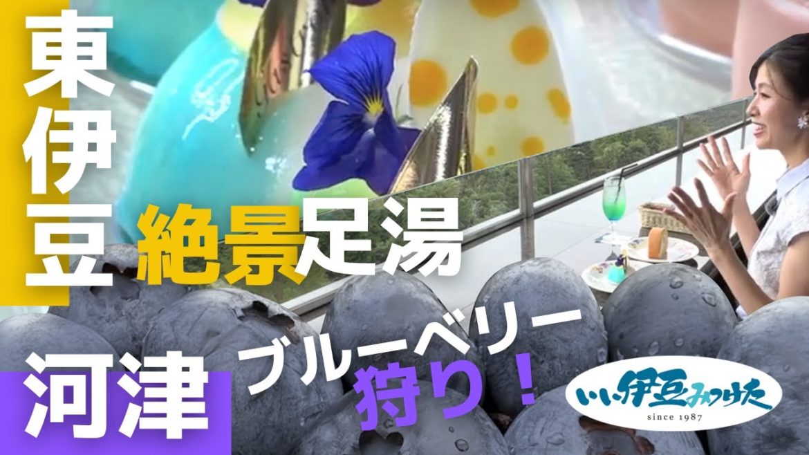 まだまだ伊豆は夏真っ盛り! 涼しさを感じるおすすめスポット　前編　いい伊豆みつけた