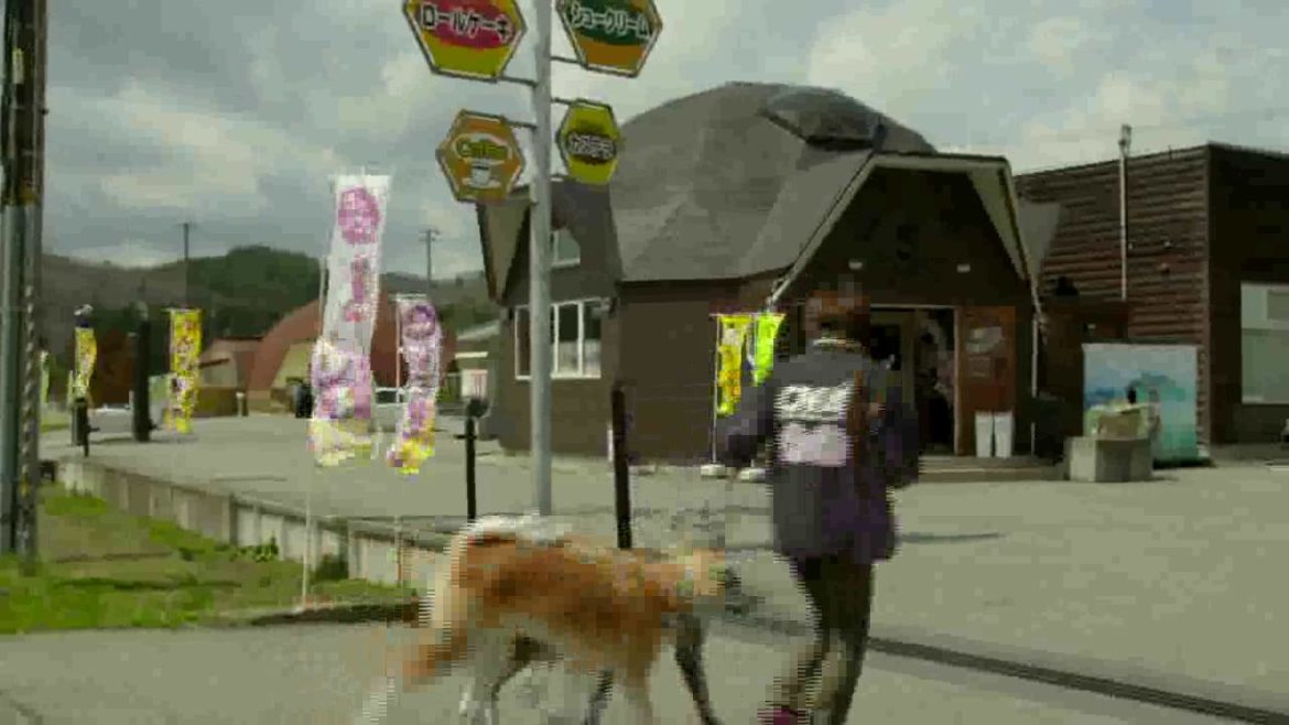 秋田犬ムービー「犬旅-仙北市田沢湖-」/Akita Dog Movie "Tazawako Senboku city"