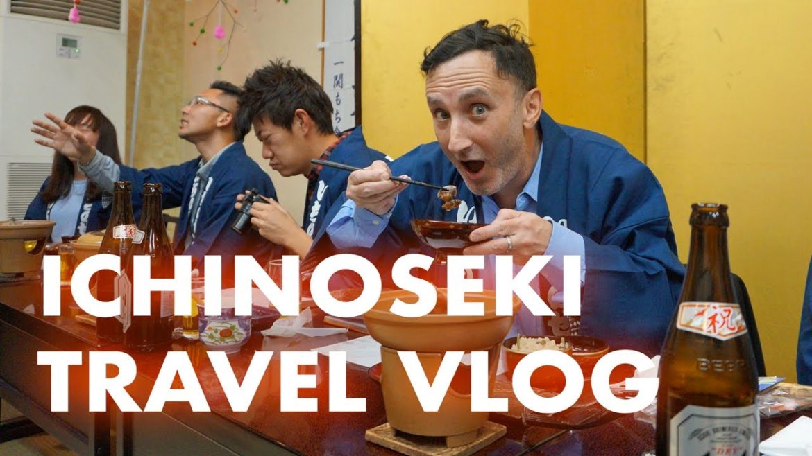 JAPAN TRAVEL VLOG – EXPLORING ICHINOSEKI – TEMPLES, FOOD AND ARTISINAL ICE CREAM JAPAN TRAVEL VLOG - EXPLORING ICHINOSEKI - TEMPLES, FOOD AND ARTISINAL ICE CREAM