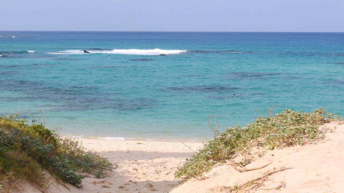 Crystal Clear Sea Waters 4K (Ultra HD) - 土盛海岸／奄美大島