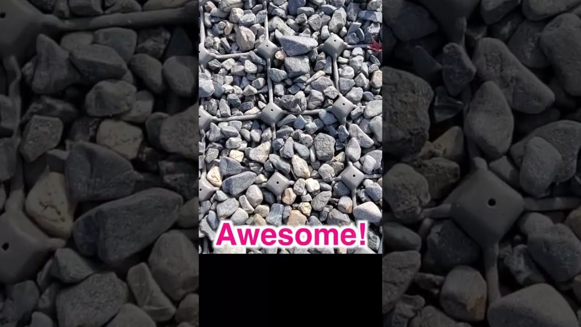 【京都旅】Amazing Japanese problem-solving in Kyoto shrine!!! 😮清水寺の小石対策