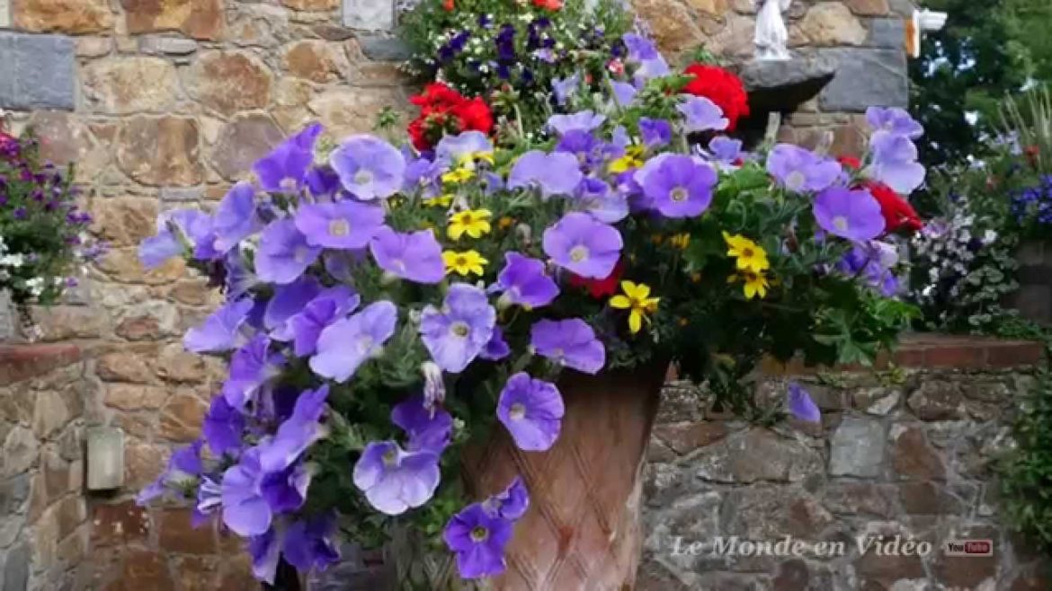 Guernsey , United Kingdom . Flowers in the Garden
