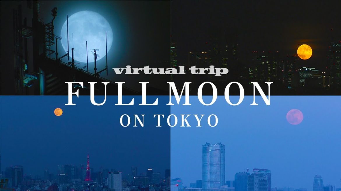 【満月】東京から見える十五夜の月🌕 / moon / tokyo / virtual trip 【満月】東京から見える十五夜の月🌕 / moon / tokyo / virtual trip