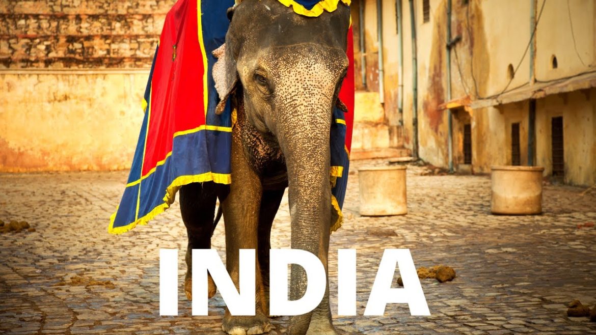 India. 12 Top Things To Do In India India. 12 Top Things To Do In India