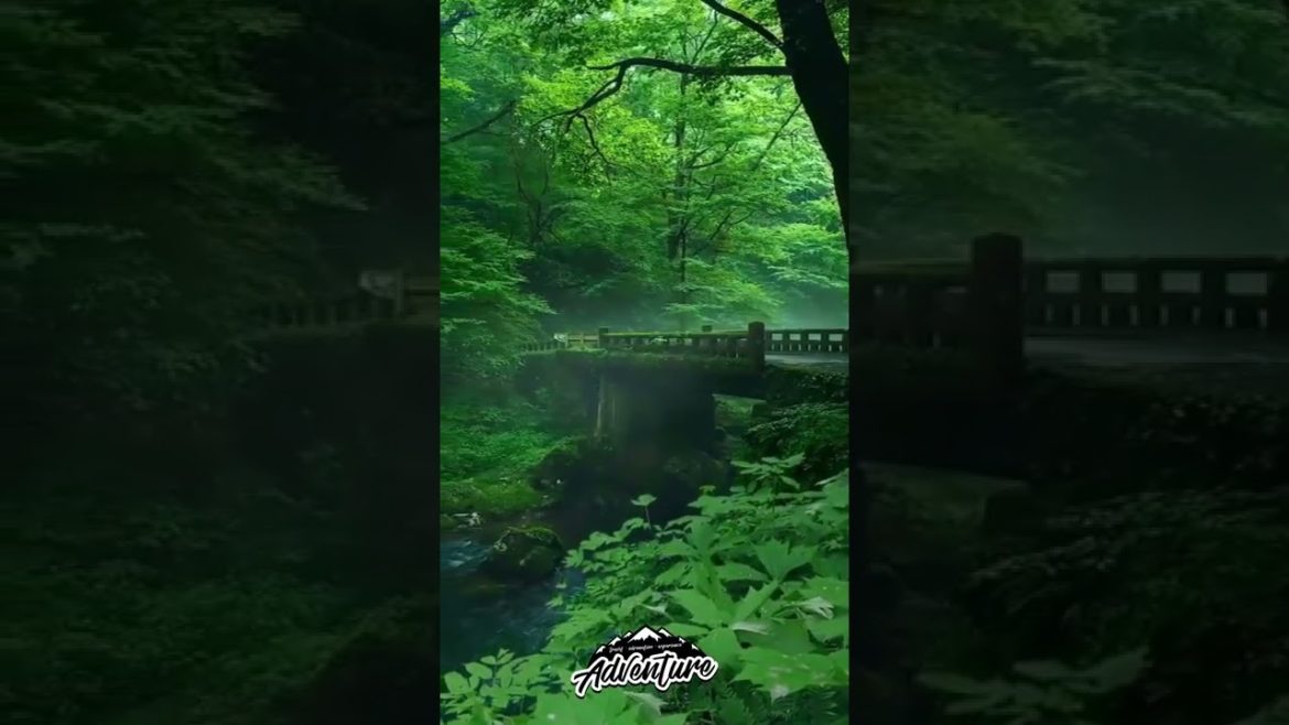 Minoo Park in Japan🌿 #view#beautiful #beautiful  #japan  #shorts