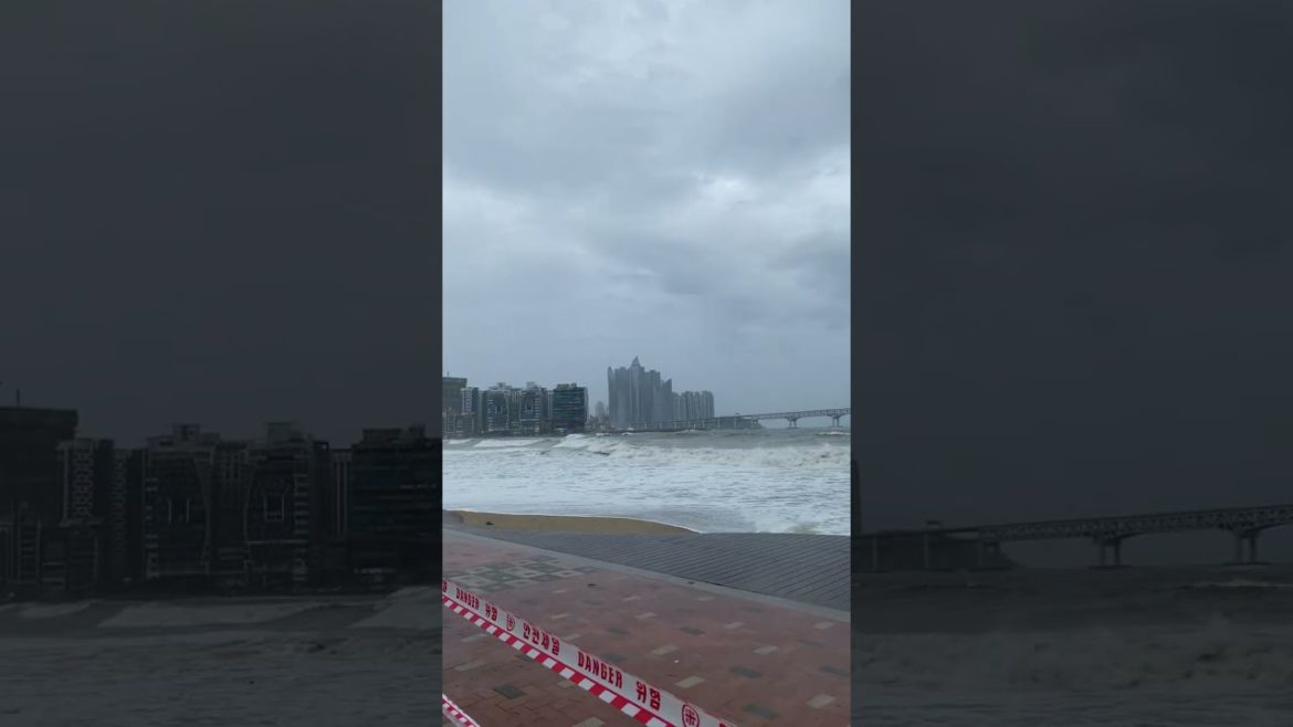 2022.09.05 15:53 🌡 25℃ 부산 광안리 날씨 ☔️ | 9월 태풍 힌남노(ຫີນໜາມໜໍ່, Hinnamnor) | Korean weather 韓国の天気 韩国天气 2022.09.05 15:53 🌡 25℃ 부산 광안리 날씨 ☔️ | 9월 태풍 힌남노(ຫີນໜາມໜໍ່, Hinnamnor) | Korean weather 韓国の天気 韩国天气