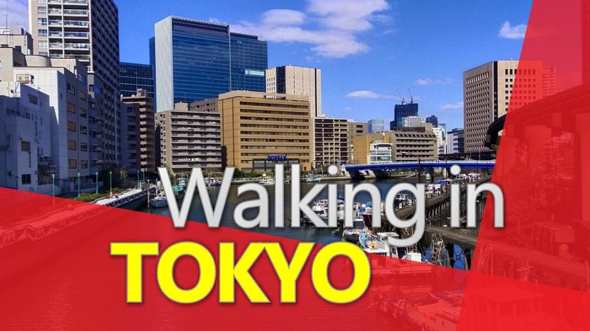 Walking through the HARBOUR area of Tokyo π―π΅ Walking through the HARBOUR area of Tokyo π―π΅