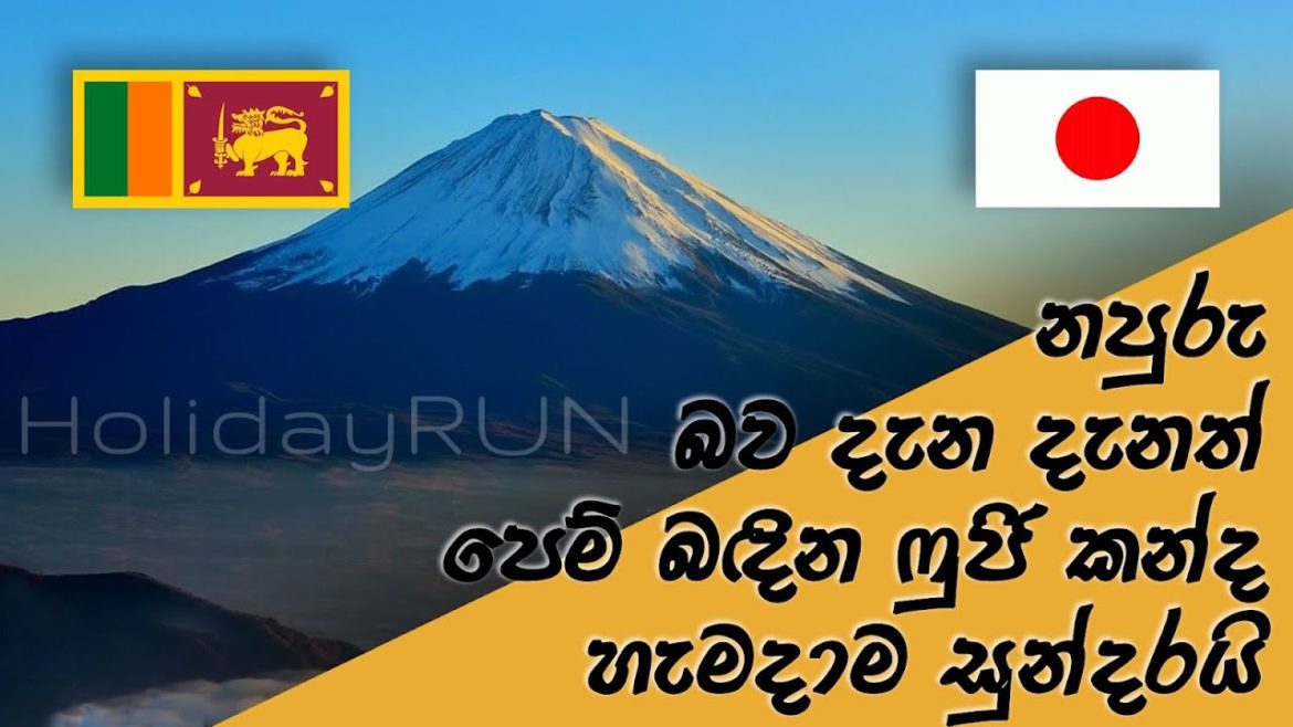 Mount Fuji|Fuji Mountain|Fujiyama|JapanMountain |ෆුජි ගිනි කන්ද|富士山|Japan travel #HolidayRUN