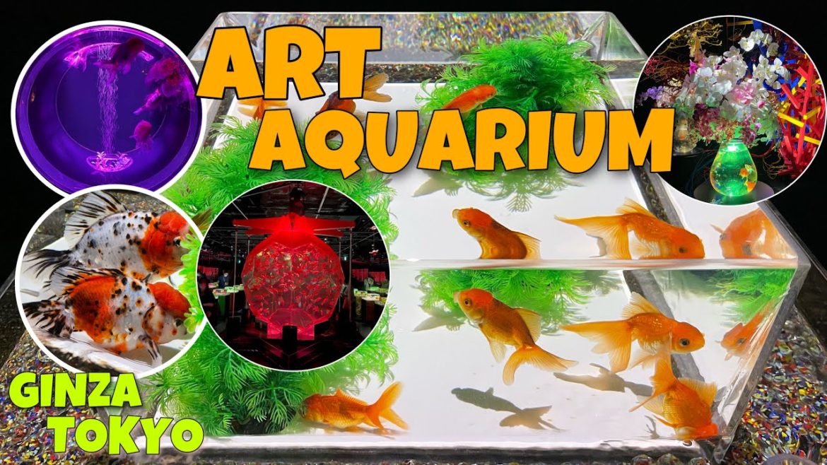 ART AQUARIUM MUSEUM / GINZA MITSUKOSHI BLDG / GINZA, TOKYO ART AQUARIUM MUSEUM / GINZA MITSUKOSHI BLDG / GINZA, TOKYO