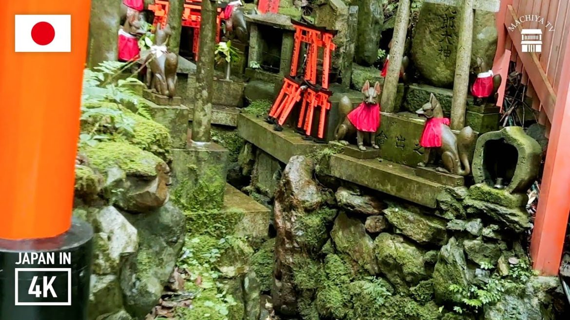 4K Walking Tour of Kyoto's famous Fushimi Inari Shrine | Japan 4K Walking Tour of Kyoto's famous Fushimi Inari Shrine | Japan
