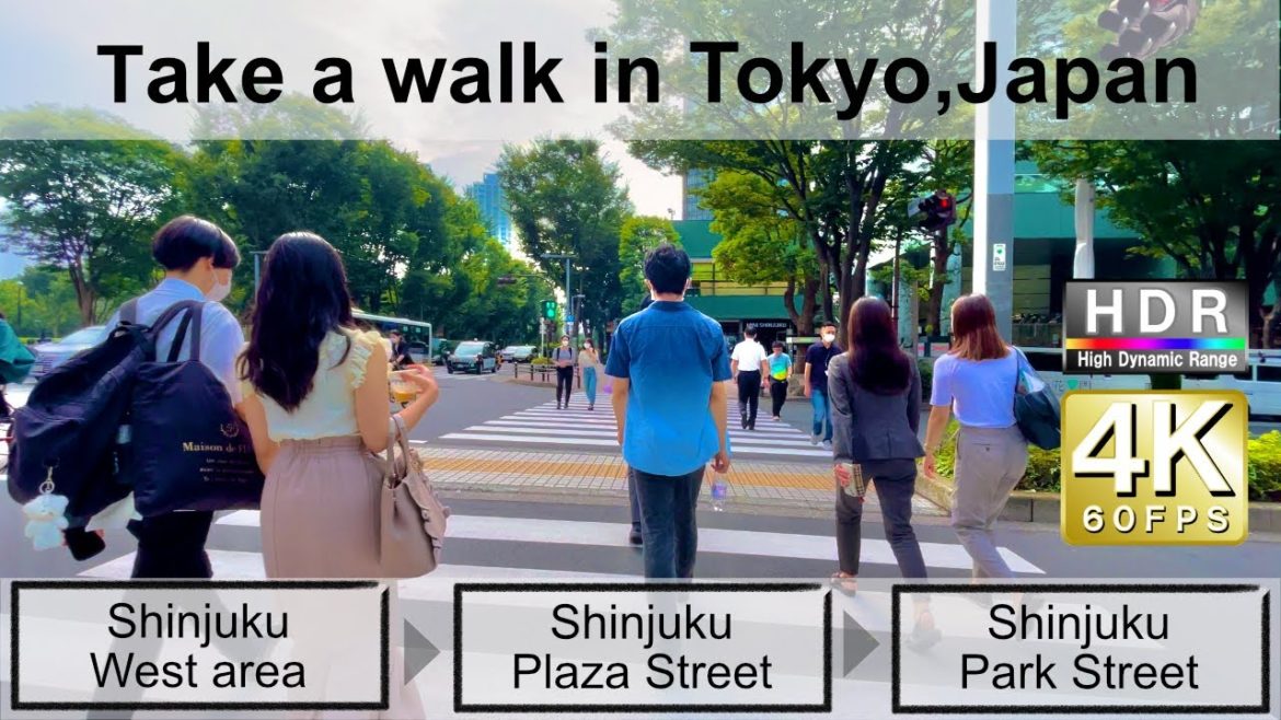 4K 60fps HDR// Take a walk in Tokyo,Japan,Shinjuku West area→Shinjuku Plaza Street→Shinuku Park St.