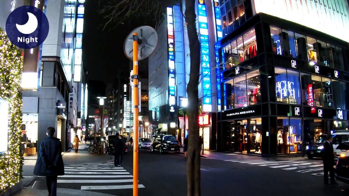 ⁴ᴷ Tokyo: Ginza (銀座) – Japan Walking Tour (January 15, 2021) ⁴ᴷ Tokyo: Ginza (銀座) - Japan Walking Tour (January 15, 2021)