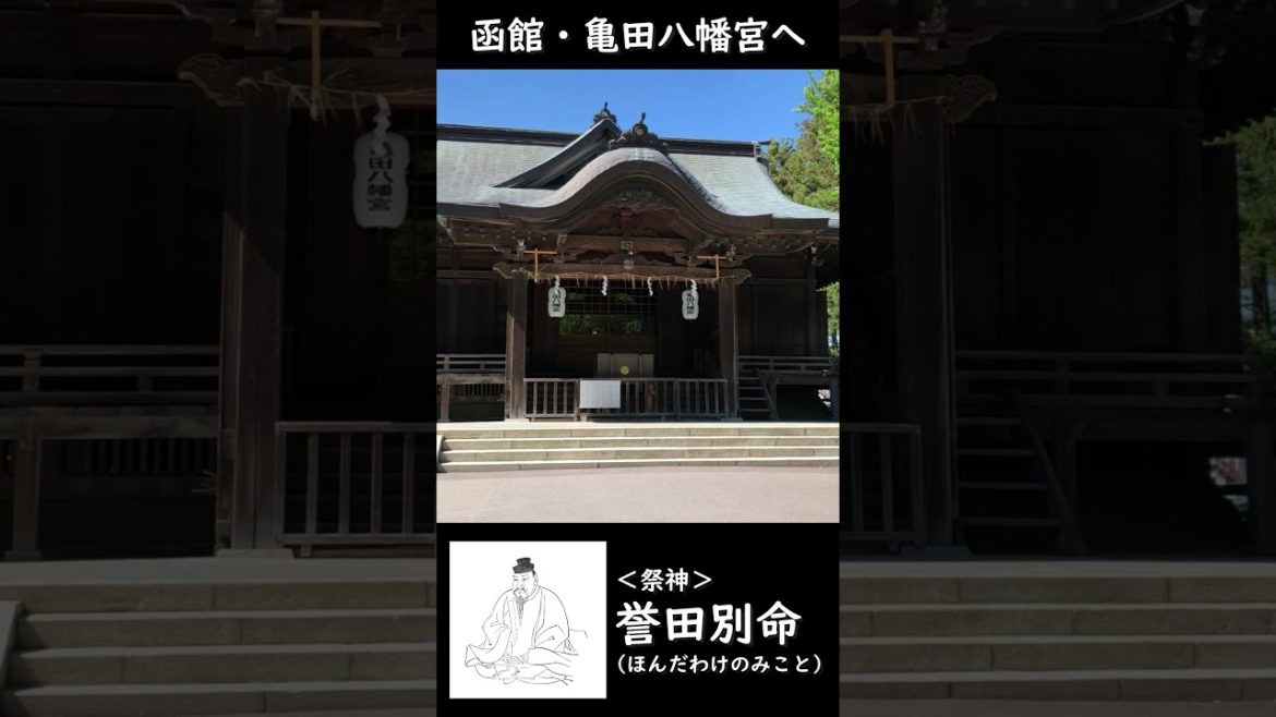 函館・亀田八幡宮へ♪初夏の日差しが気持ちよかったです😊 #shorts